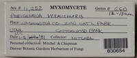 Image Associated With the Occurence